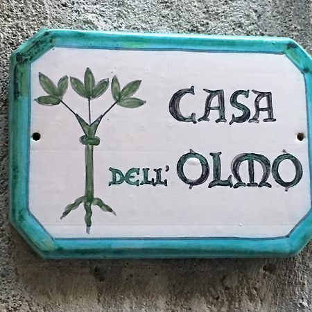 Casa Dell'Olmo Apartment Orvieto Ngoại thất bức ảnh