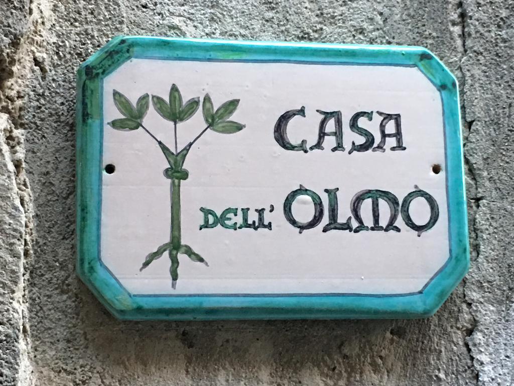 Casa Dell'Olmo Apartment Orvieto Ngoại thất bức ảnh