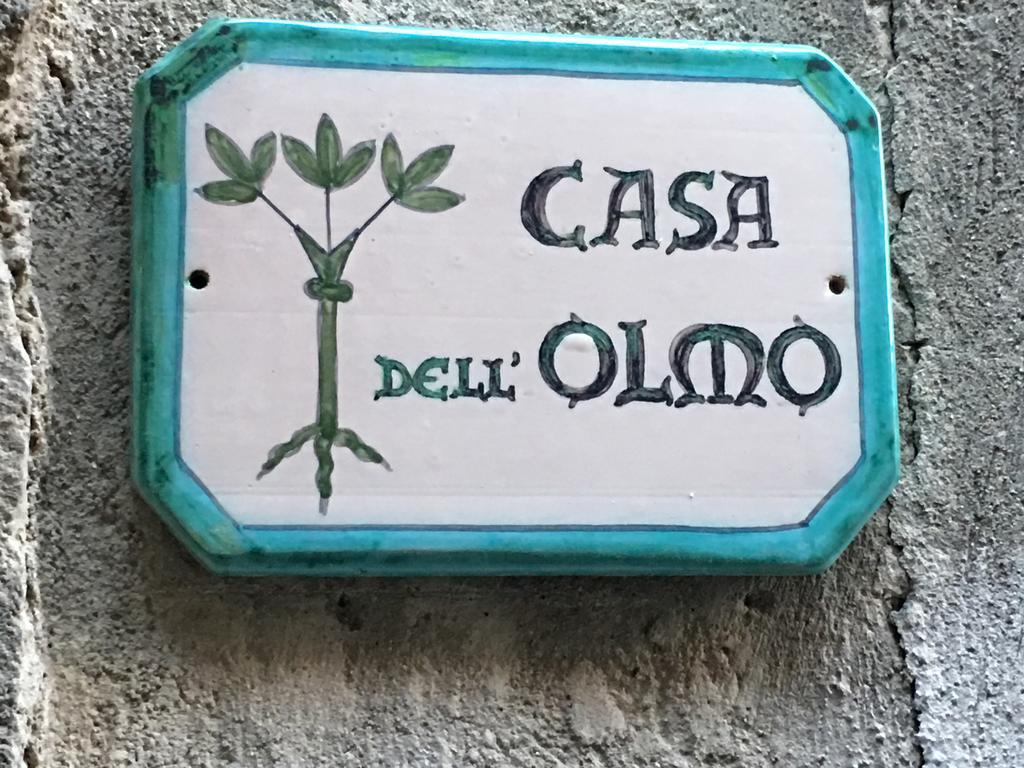 Casa Dell'Olmo Apartment Orvieto Ngoại thất bức ảnh